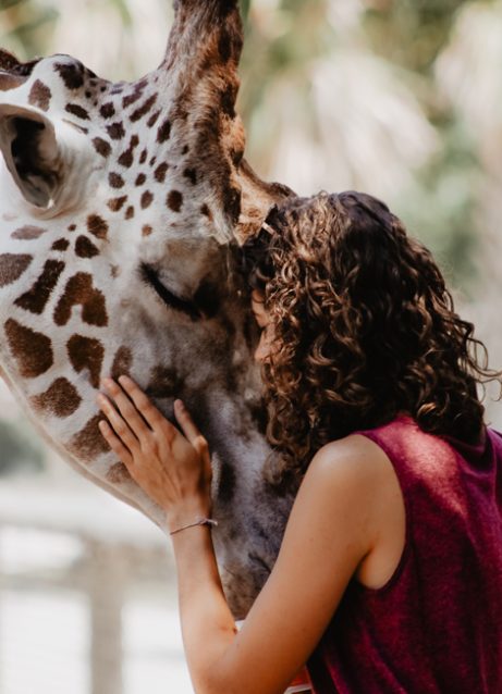 {{brizy_dc_image_alt imageSrc=